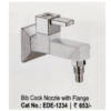 EDGE IB BCOCK NOZZLE WITH FLANGE