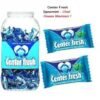 Center fresh SPEARMINT FLAVOUR,chewing gum (in side 225 nos)